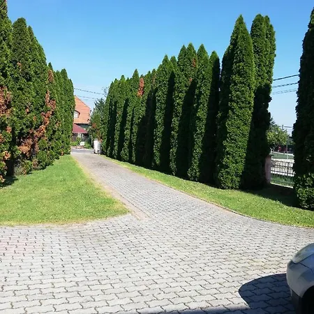 Berkenye Apartman *